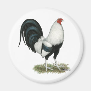 Silver Duckwing Gamecock Magnet