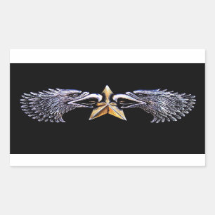 Silver Eagles with Gold Star Stickers