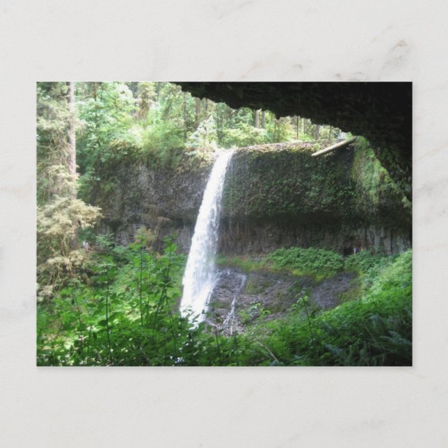 Silver Falls Park Postcard (Front)