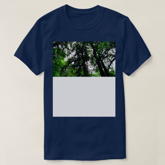 Silver Falls State Park Oregon T-Shirt (Design Front)
