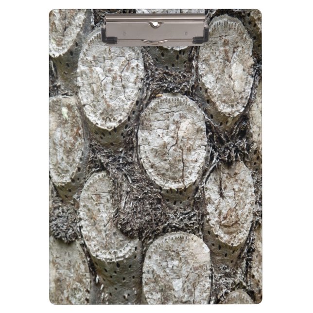 Silver Fern Tree Clipboard (Front)