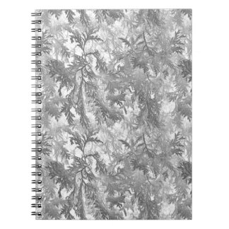 Silver Fir Notebook