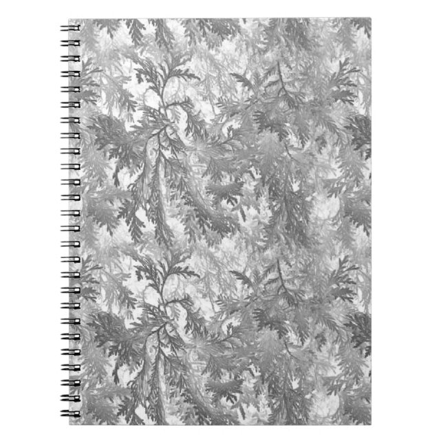 Silver Fir Notebook (Front)
