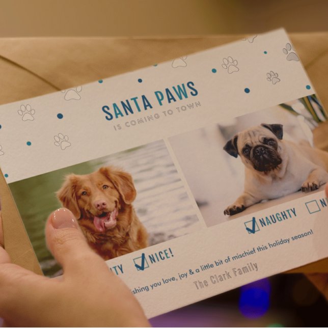 Silver Foil & Blue Santa Paws Two Dog Photo Card (Creator Uploaded)