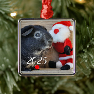 Silver Fox Guinea Pig with Santa Toy Metal Ornament
