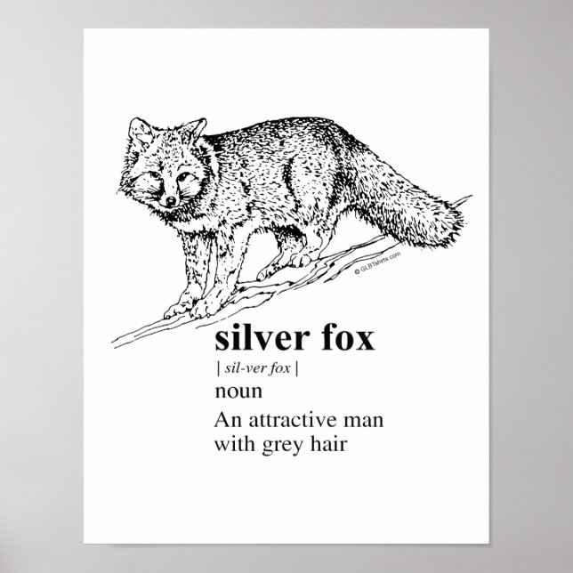 SILVER FOX - POSTER (Front)