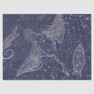 Silver Galaxy Star Map Series Design 5 Tissue Paper