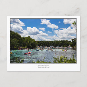 Silver Glenn Springs Postcard