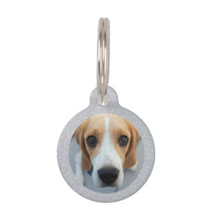 Silver Glitter Pet Dog Owners Custom Photo Tag