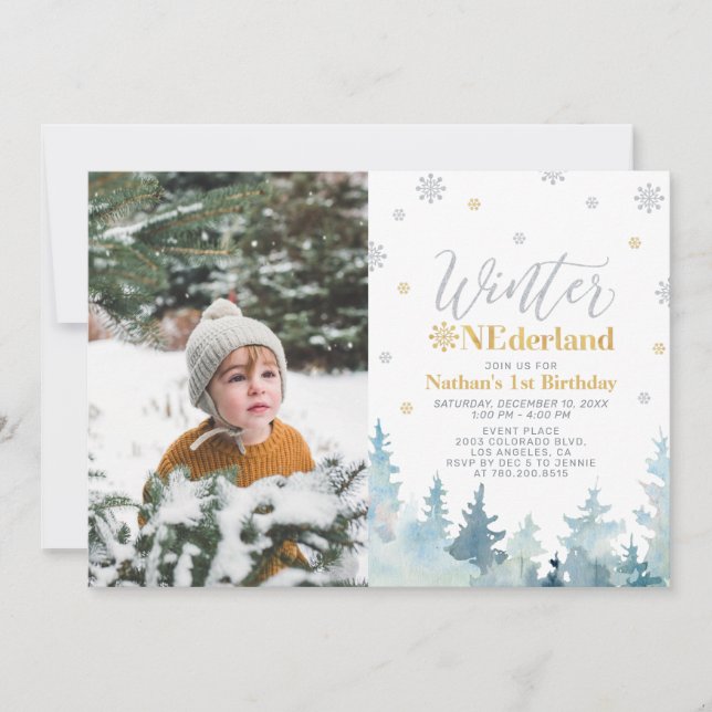 Silver & Gold Winter Onederland Boy 1st Birthday Invitation (Front)