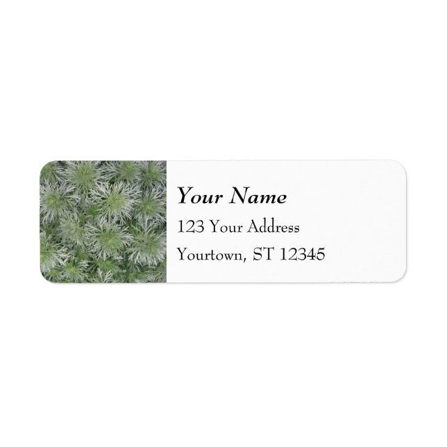 Silver Green Foliage Pattern Return Address Label (Front)