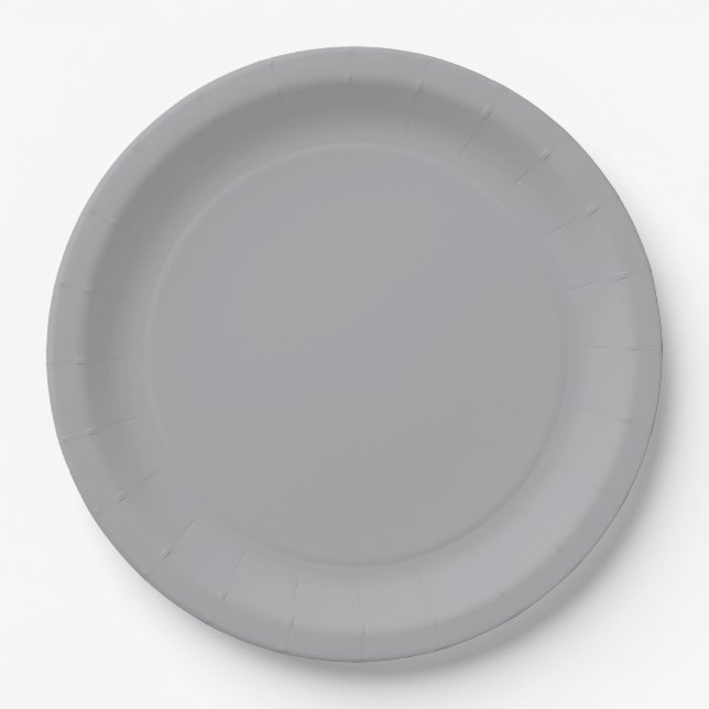 Silver Grey Paper Plate (Front)