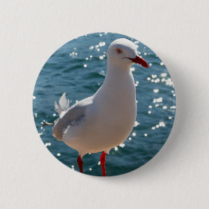 Silver Gull 6 Cm Round Badge