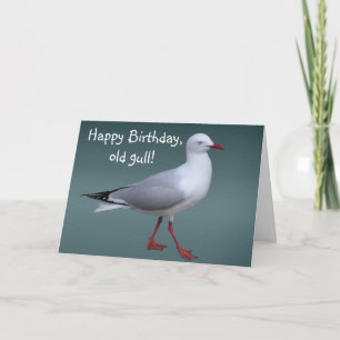 Silver Gull Card