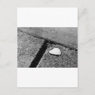 Silver Heart on Sidewalk Postcard