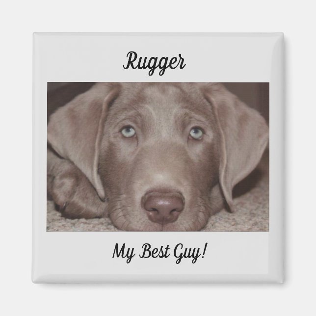 Silver Lab "My Best Guy" Magnet (Front)
