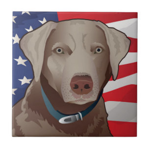 Silver Lab Retriever of America Ceramic Tile