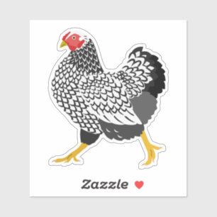 silver laced Wyandotte chicken sticker