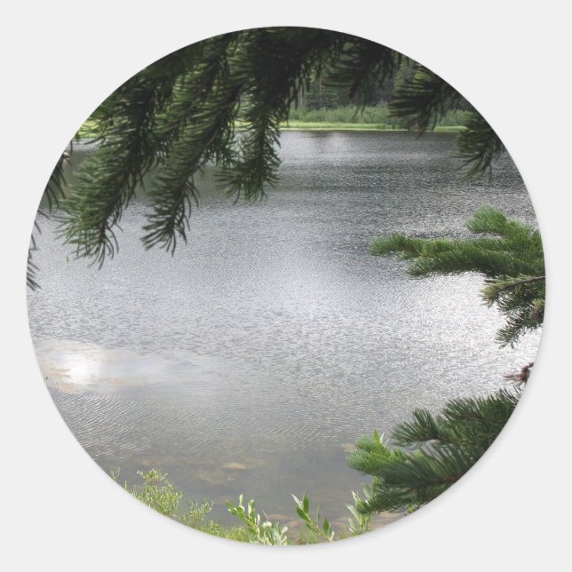 Silver Lake Framed by Evergreen Boughs Classic Round Sticker (Front)