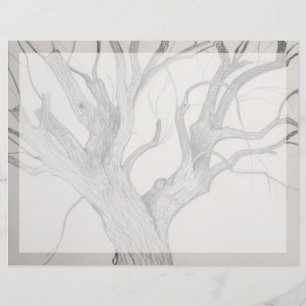 Silver Maple