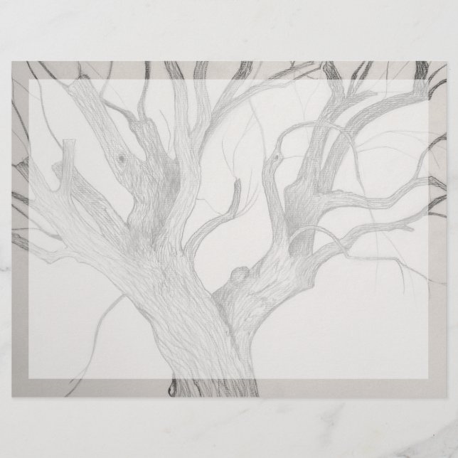 Silver Maple (Front)