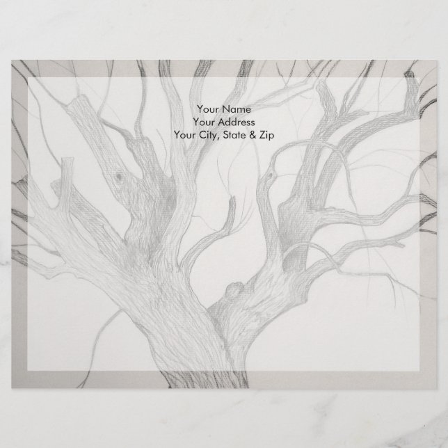 Silver Maple Letterhead Design (Front)