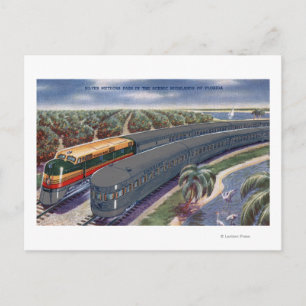 Silver Meteors "Seaboard" in Florida Highlands Postcard