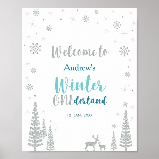 Silver Mint Winter Boy Birthday Party Welcome Sign (Front)