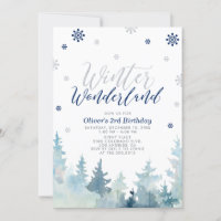 Silver & Navy Winter Wonderland Boy Birthday Party