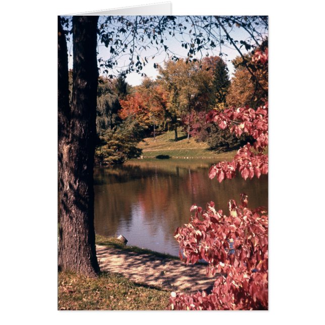 Silver Park in the Fall (Front)