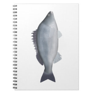 Silver Perch Notebook