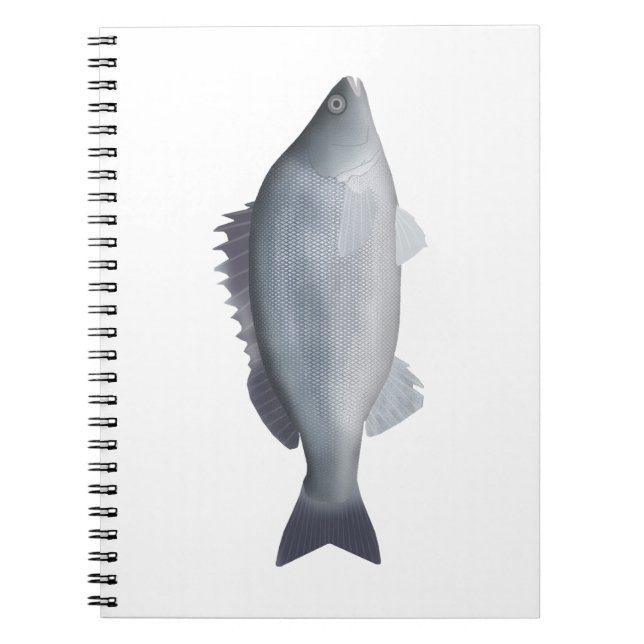 Silver Perch Notebook (Front)