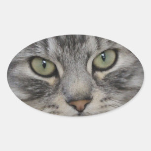 Silver Persian Cat Face Oval Stickers