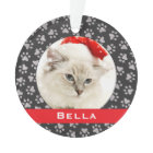 Silver Pet Paw Prints Red Custom Cat Name Photo