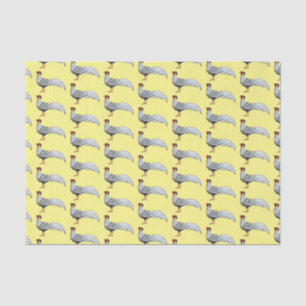Silver pheasant bird cartoon illustration tissue paper