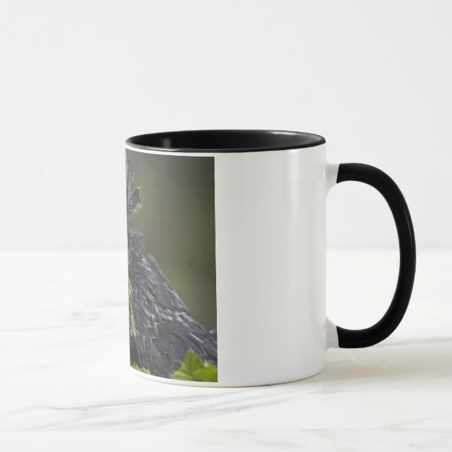 Silver Polish Rooster Mug (Right)
