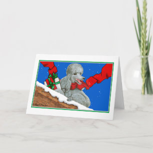 Silver Poodle Christmas or Holiday Cards Notes