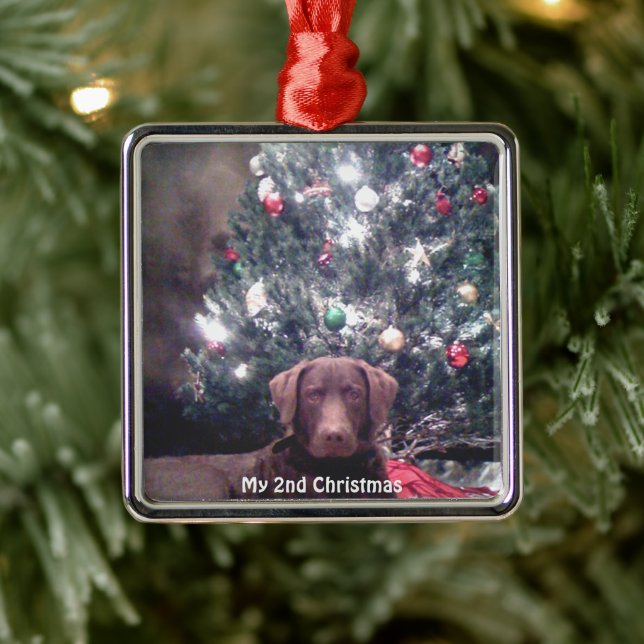 Silver Puppy My 2nd Christmas Photo Ornaments (Tree)