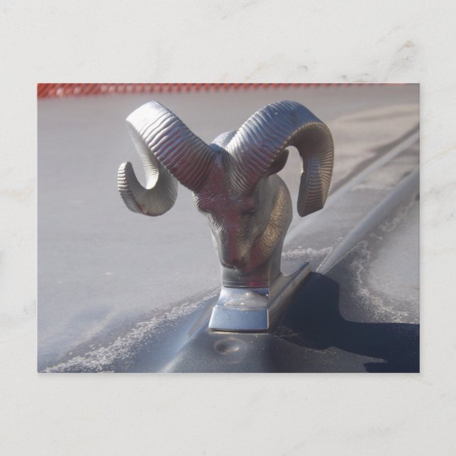 Silver Ram Postcard (Front)