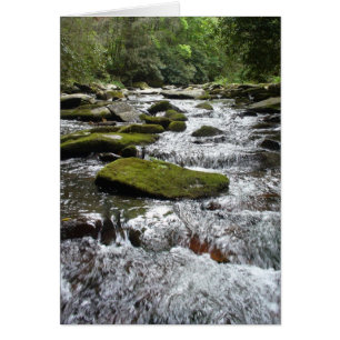 Silver Rapids