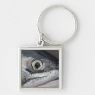 Silver Salmon Face Key Ring