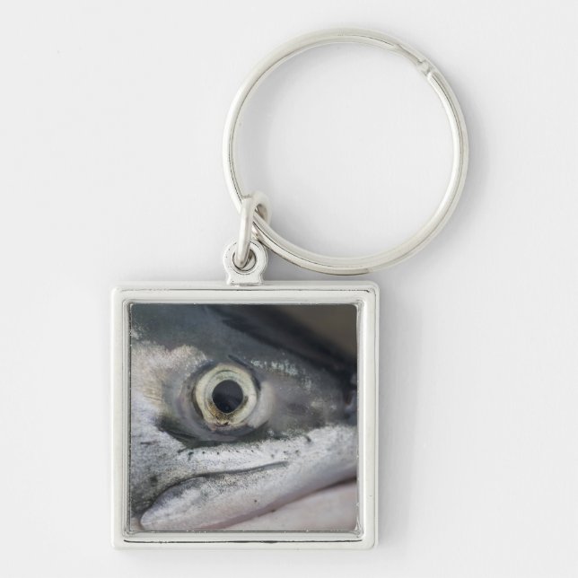 Silver Salmon Face Key Ring (Front)