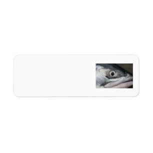 Silver Salmon Face Return Address Label