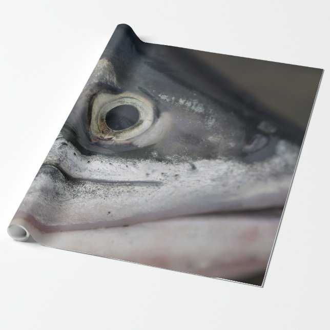 Silver Salmon Face Wrapping Paper (Unrolled)