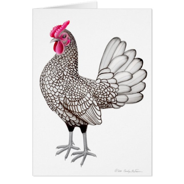 Silver Sebright Bantam Rooster Card (Front)