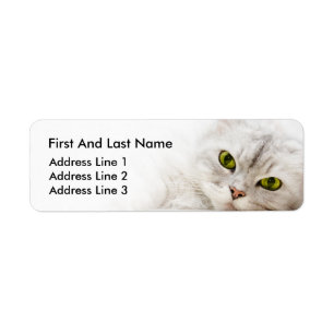 Silver shaded Persian Return Address Label