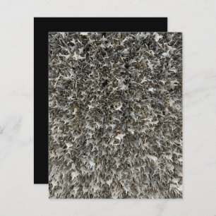 Silver Shaggy Tags Scrapbook Paper