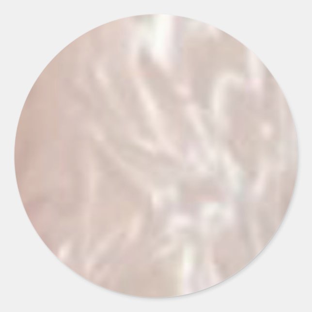 Silver Shine Lables Round Classic Round Sticker (Front)