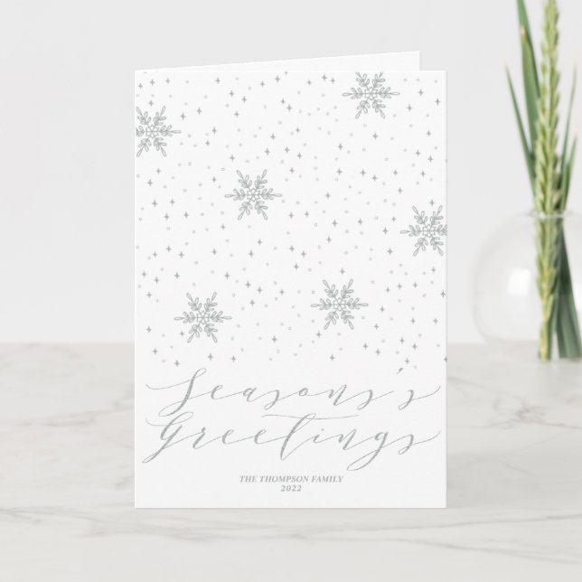 Silver Snowflakes Seasons Greetings Christmas Holi Holiday Card (Front)