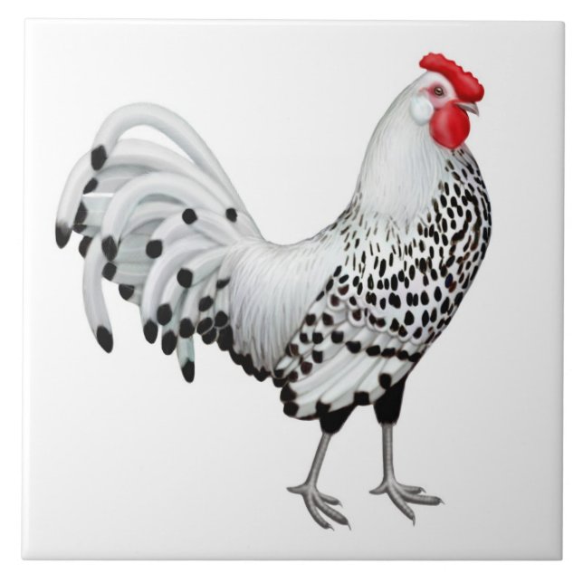 Silver Spangled Hamburg Rooster Tile (Front)